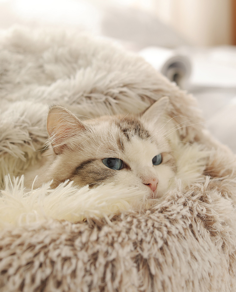 Fluffy Round Cat Bed Nest